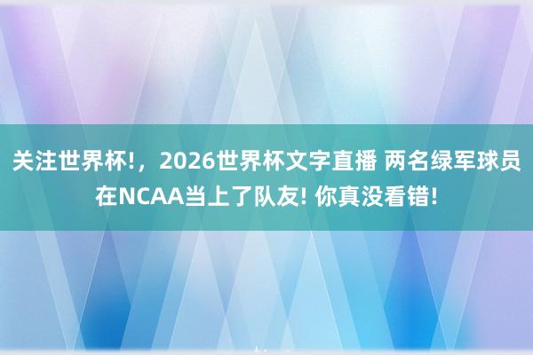 关注世界杯!，2026世界杯文字直播 两名绿军球员在NCAA当上了队友! 你真没看错!