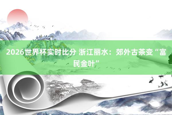 2026世界杯实时比分 浙江丽水：郊外古茶变“富民金叶”