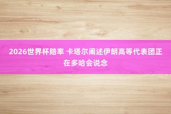 2026世界杯赔率 卡塔尔阐述伊朗高等代表团正在多哈会说念