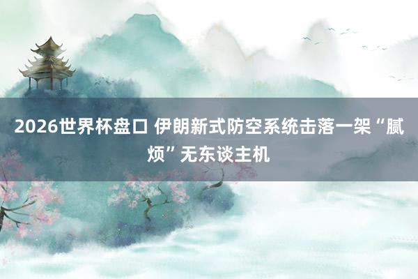 2026世界杯盘口 伊朗新式防空系统击落一架“腻烦”无东谈主机