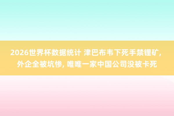 2026世界杯数据统计 津巴布韦下死手禁锂矿， 外企全被坑惨， 唯唯一家中国公司没被卡死