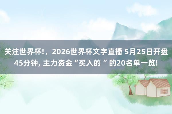 关注世界杯!，2026世界杯文字直播 5月25日开盘45分钟， 主力资金“买入的 ”的20名单一览!