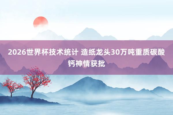 2026世界杯技术统计 造纸龙头30万吨重质碳酸钙神情获批