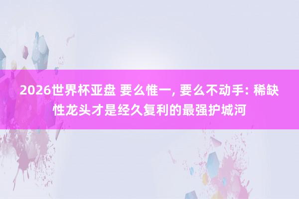 2026世界杯亚盘 要么惟一， 要么不动手: 稀缺性龙头才是经久复利的最强护城河