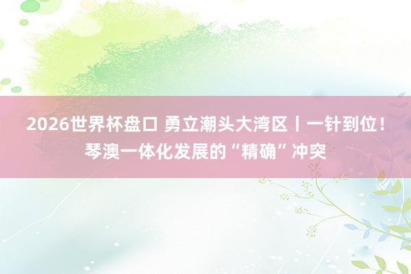 2026世界杯盘口 勇立潮头大湾区丨一针到位！琴澳一体化发展的“精确”冲突