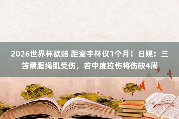 2026世界杯欧赔 距寰宇杯仅1个月！日媒：三笘薰腘绳肌受伤，若中度拉伤将伤缺4周