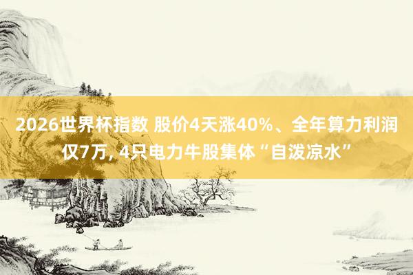 2026世界杯指数 股价4天涨40%、全年算力利润仅7万， 4只电力牛股集体“自泼凉水”
