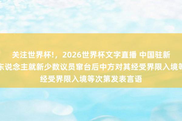 关注世界杯!，2026世界杯文字直播 中国驻新西兰使馆发言东说念主就新少数议员窜台后中方对其经受界限入境等次第发表言语